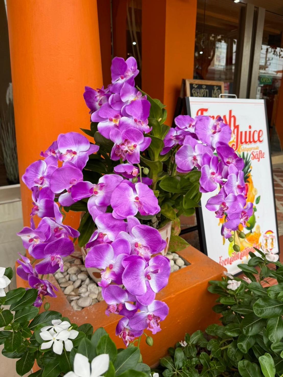 Venice Hotel Hua Hin Exterior photo